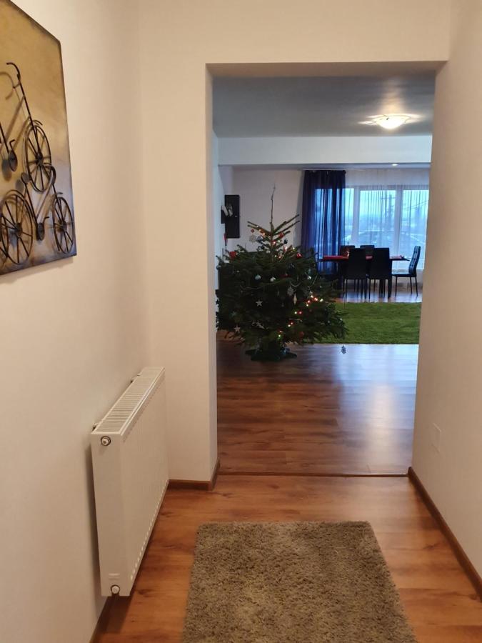 Апартаменты Gloria Apartament Бая-Маре Экстерьер фото