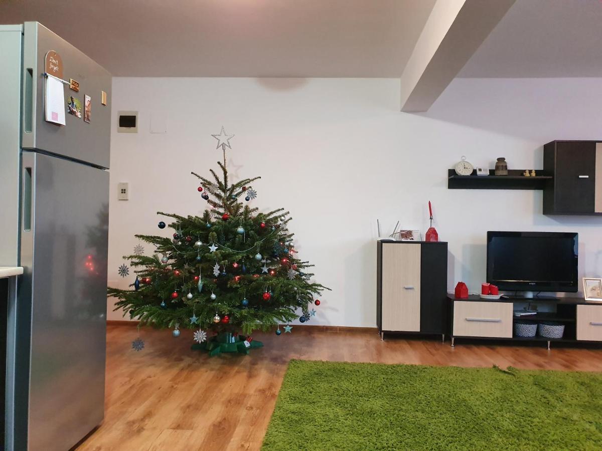 Апартаменты Gloria Apartament Бая-Маре Экстерьер фото