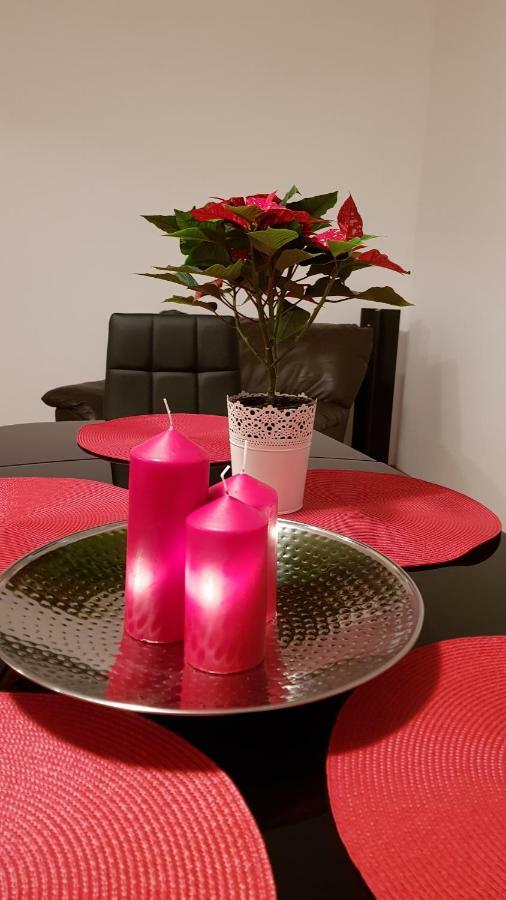Апартаменты Gloria Apartament Бая-Маре Экстерьер фото